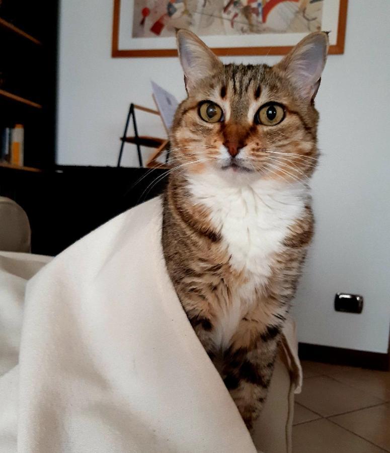 토리노 Un Buon Inizio B&B 외부 사진